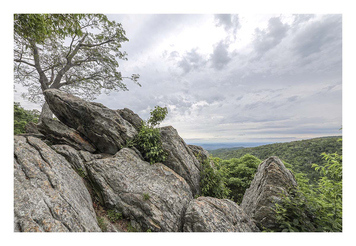 Shenandoah NP